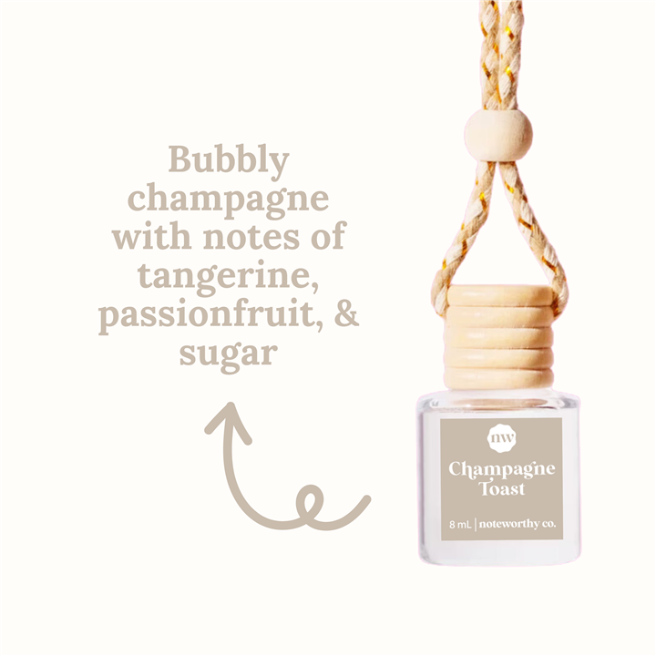 Cactus Flowers Car Diffusers Core Scents
