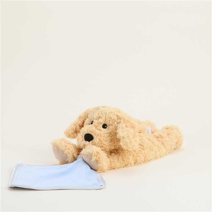 Golden Dog Warmies Blanket