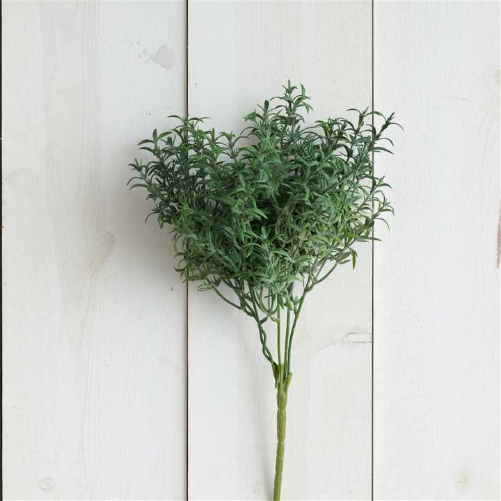 Pick - Thyme