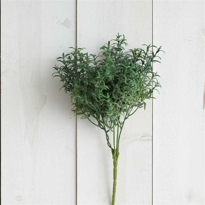 Pick - Thyme