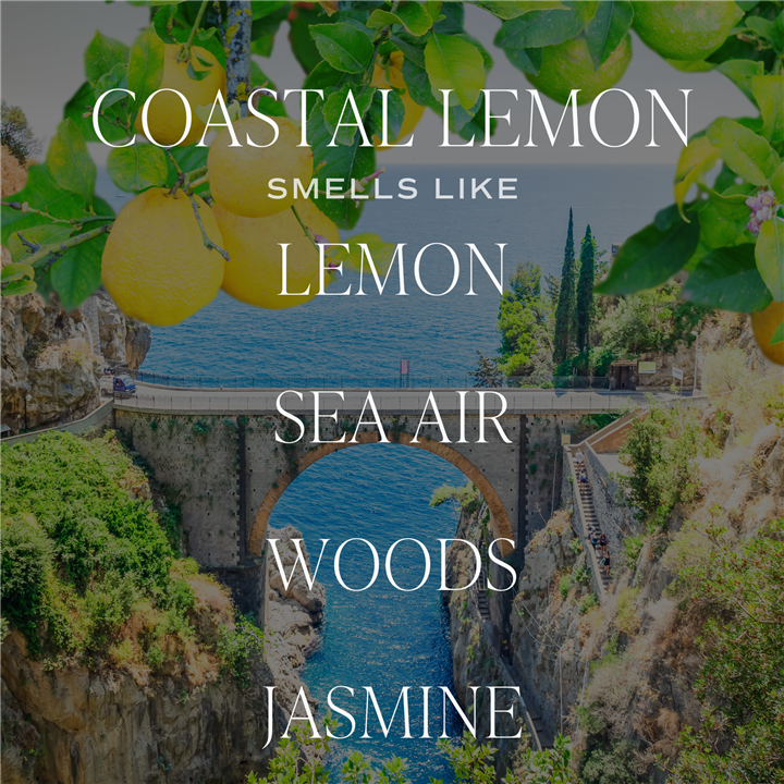 Coastal Lemon 9 oz Soy Candle - Sweet Water Decor