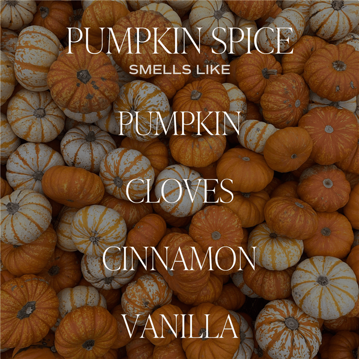 Fall, Pumpkin Spice 9 oz Soy Candle - Market 12
