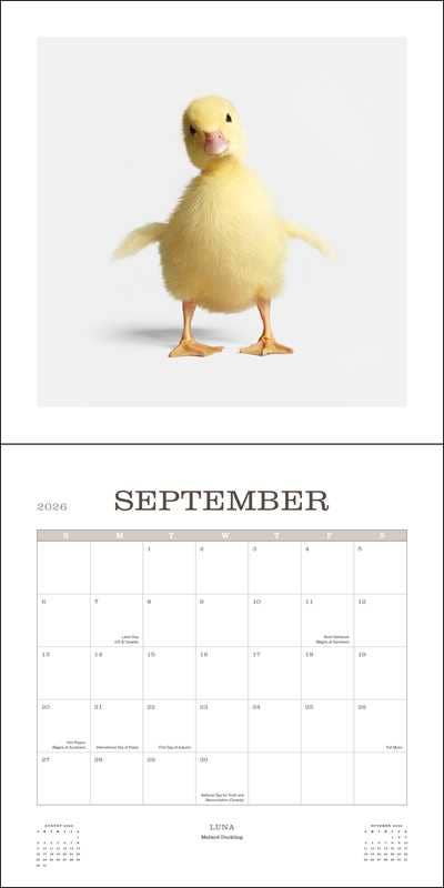Farm Life 2026 Wall Calendar by Randal Ford: Calendar - Market 12