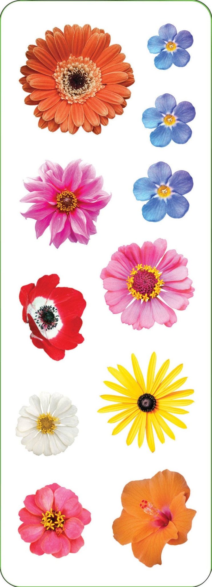 Flowers Sticker Set - Market 12