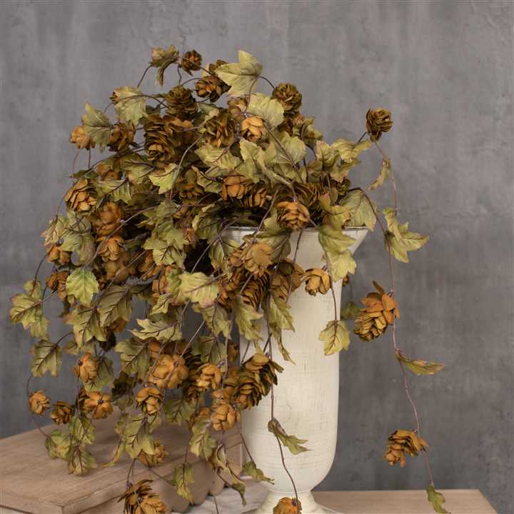 Green Hops Stem - Market 12