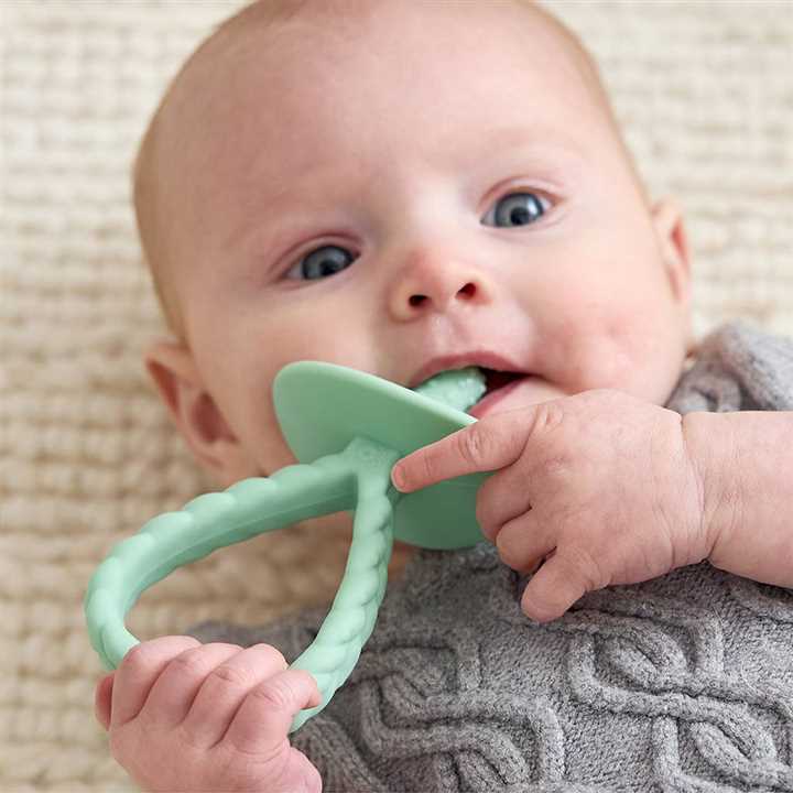 Itzy Pre - Feeding Teether Set - Market 12