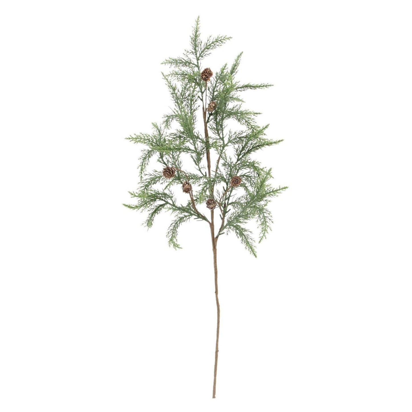 Juniper and Pinecone Pick - Market 12