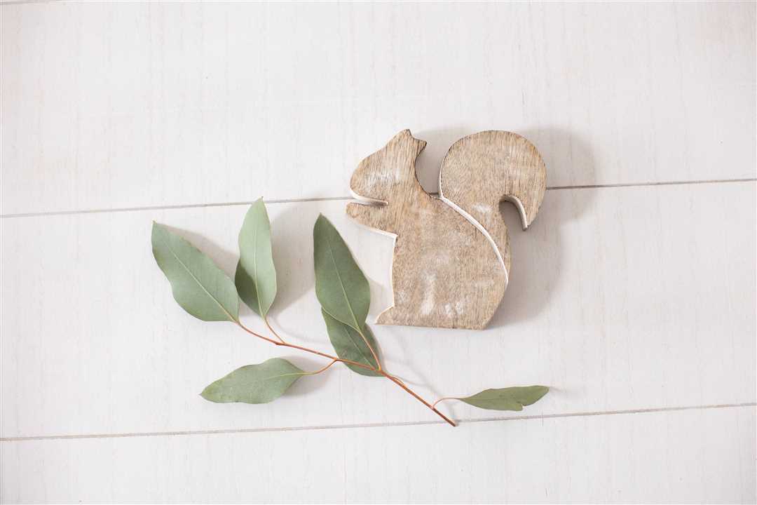Mango Squirrel FALL DECOR