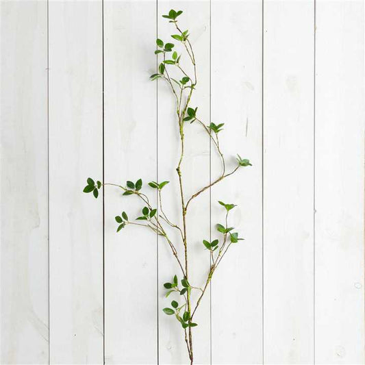 Branch - Lemon Leaf