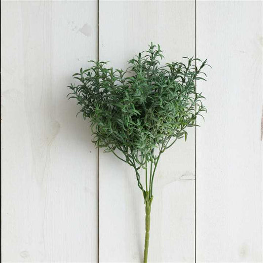 Pick - Thyme