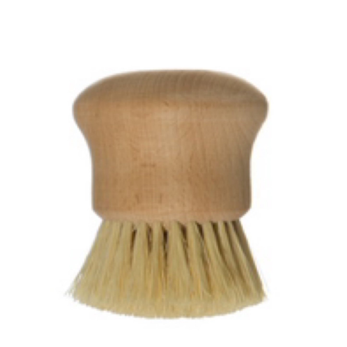 AH1236 3"L Beech Wood Brush, Natural - Market 12