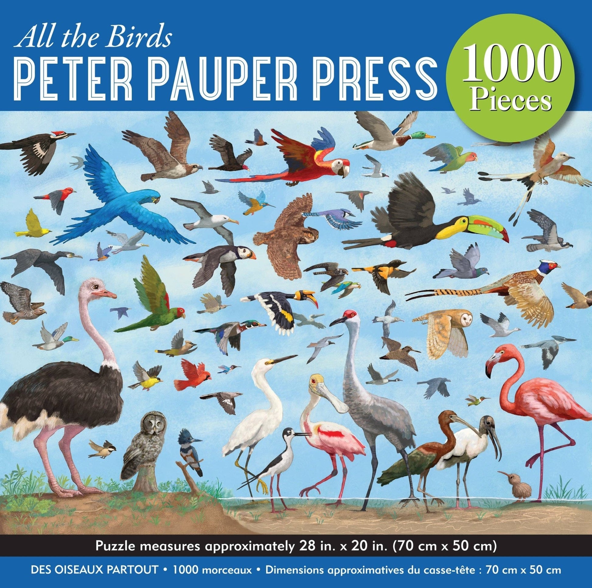 All the Birds 1000 Piece Jigsaw Puzzle - Market 12