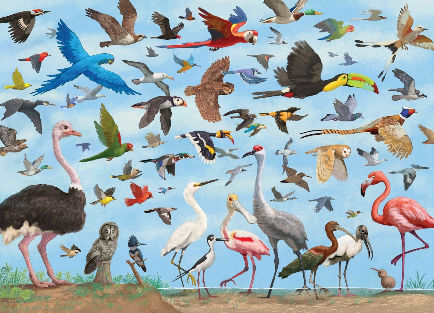 All the Birds 1000 Piece Jigsaw Puzzle - Market 12