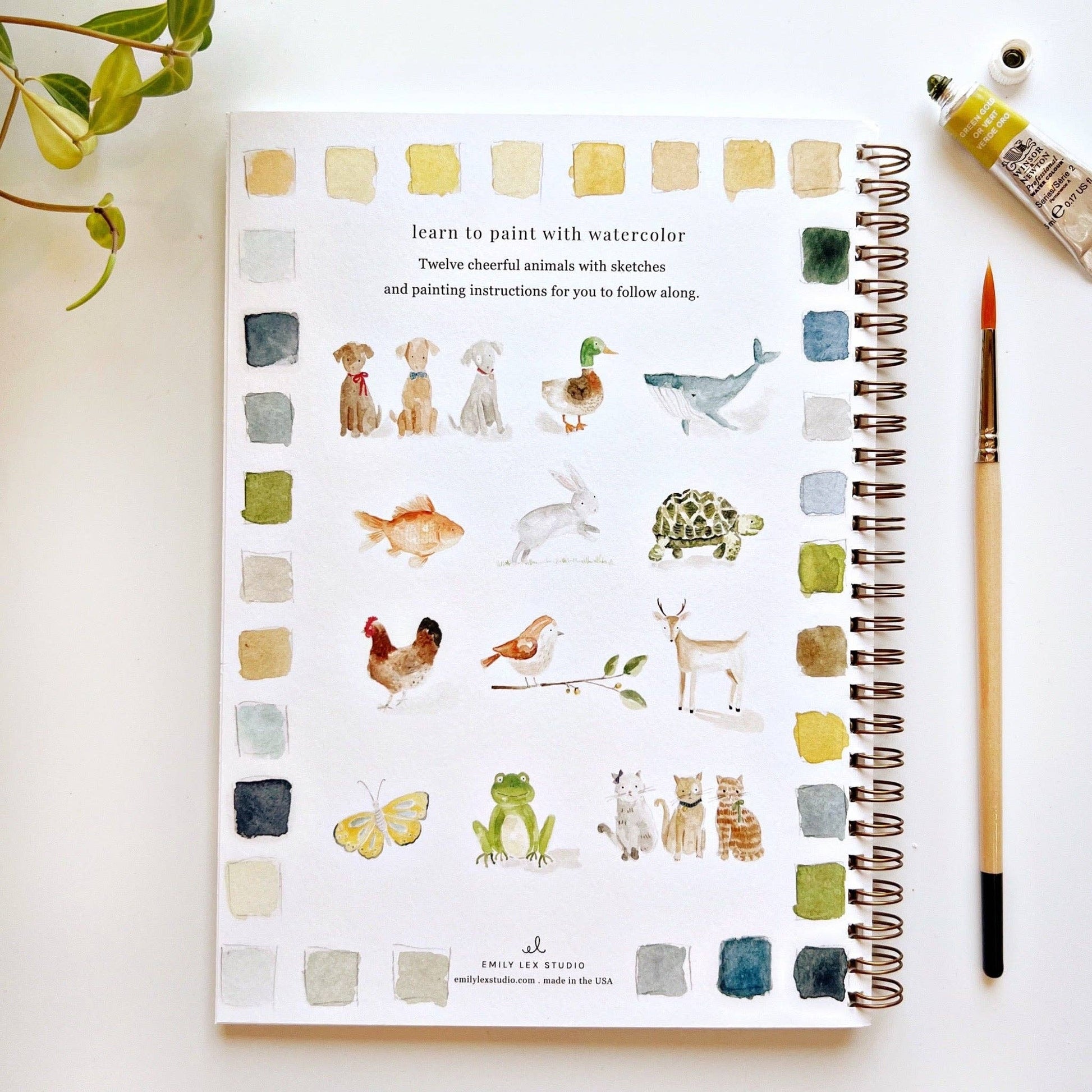 Animals watercolor workbook - Market 12
