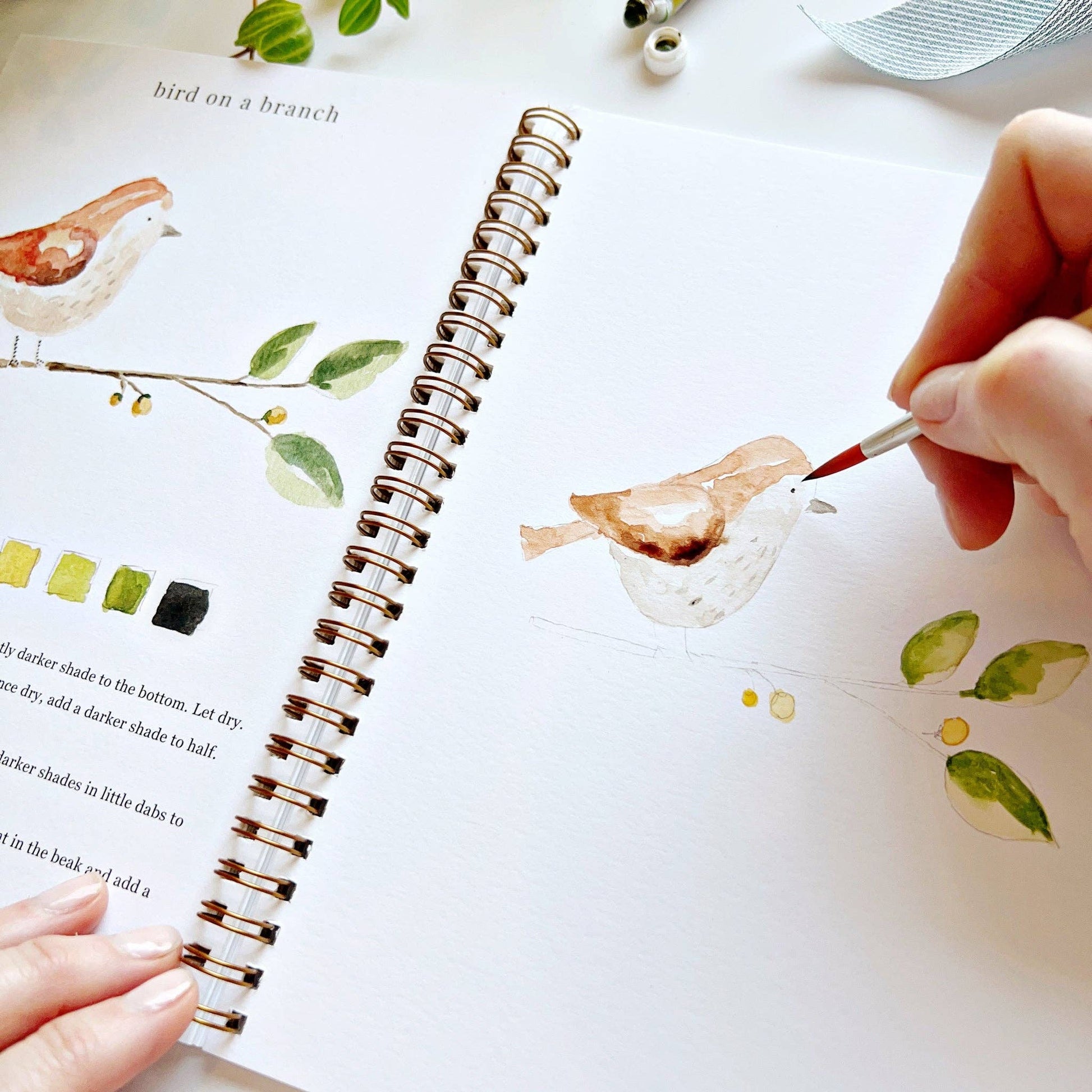 Animals watercolor workbook - Market 12