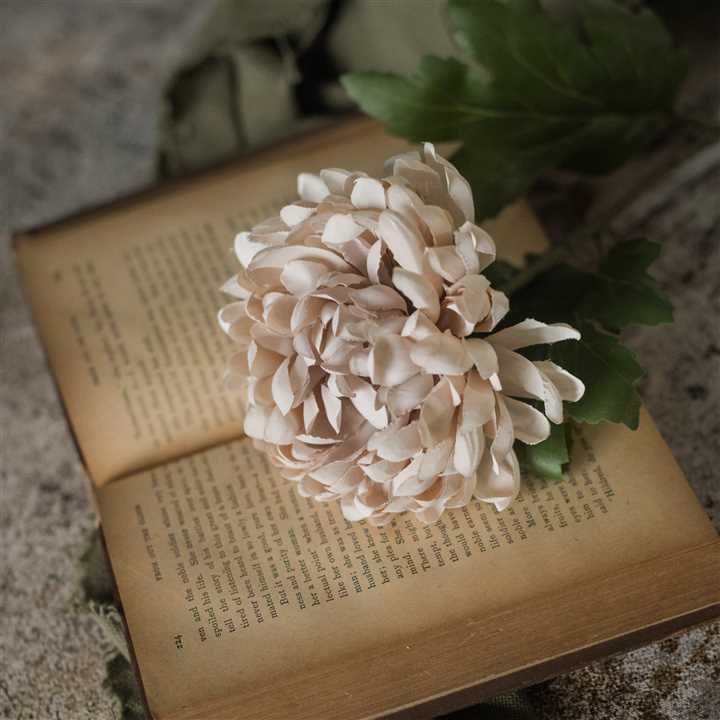 Autumn Cream Mum Spray - Market 12