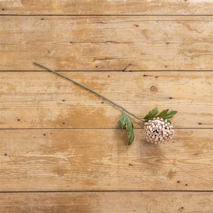 Autumn Cream Mum Spray - Market 12