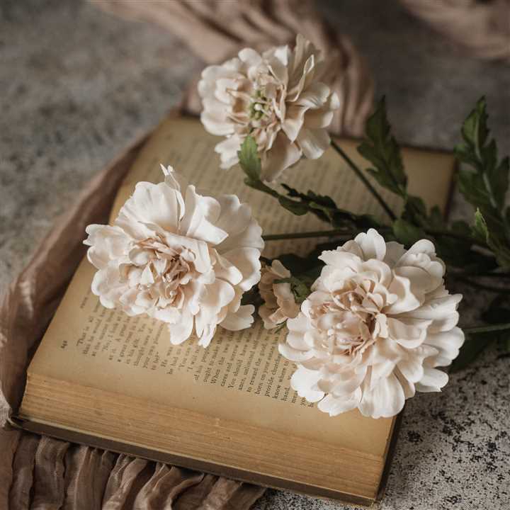 Autumn Cream Spray - Market 12