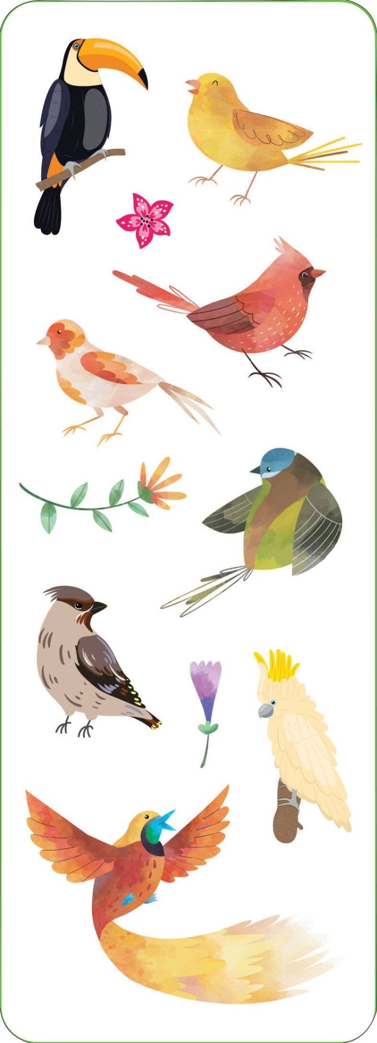 Birds Sticker Set - Market 12
