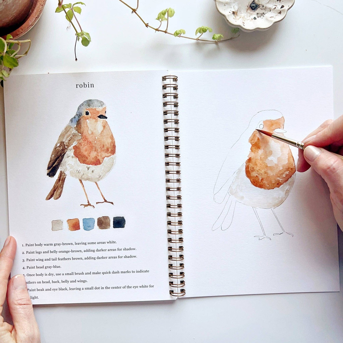 Birds watercolor workbook - Market 12