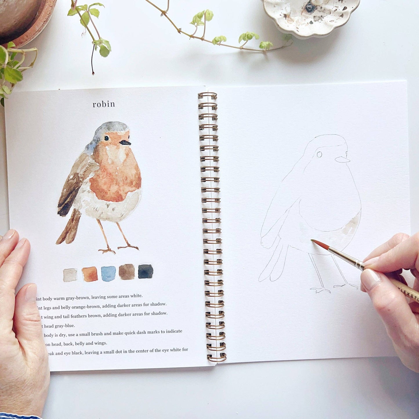 Birds watercolor workbook - Market 12