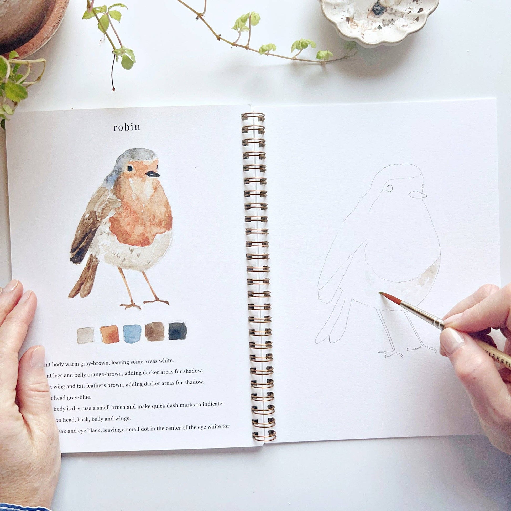 Birds watercolor workbook - Market 12