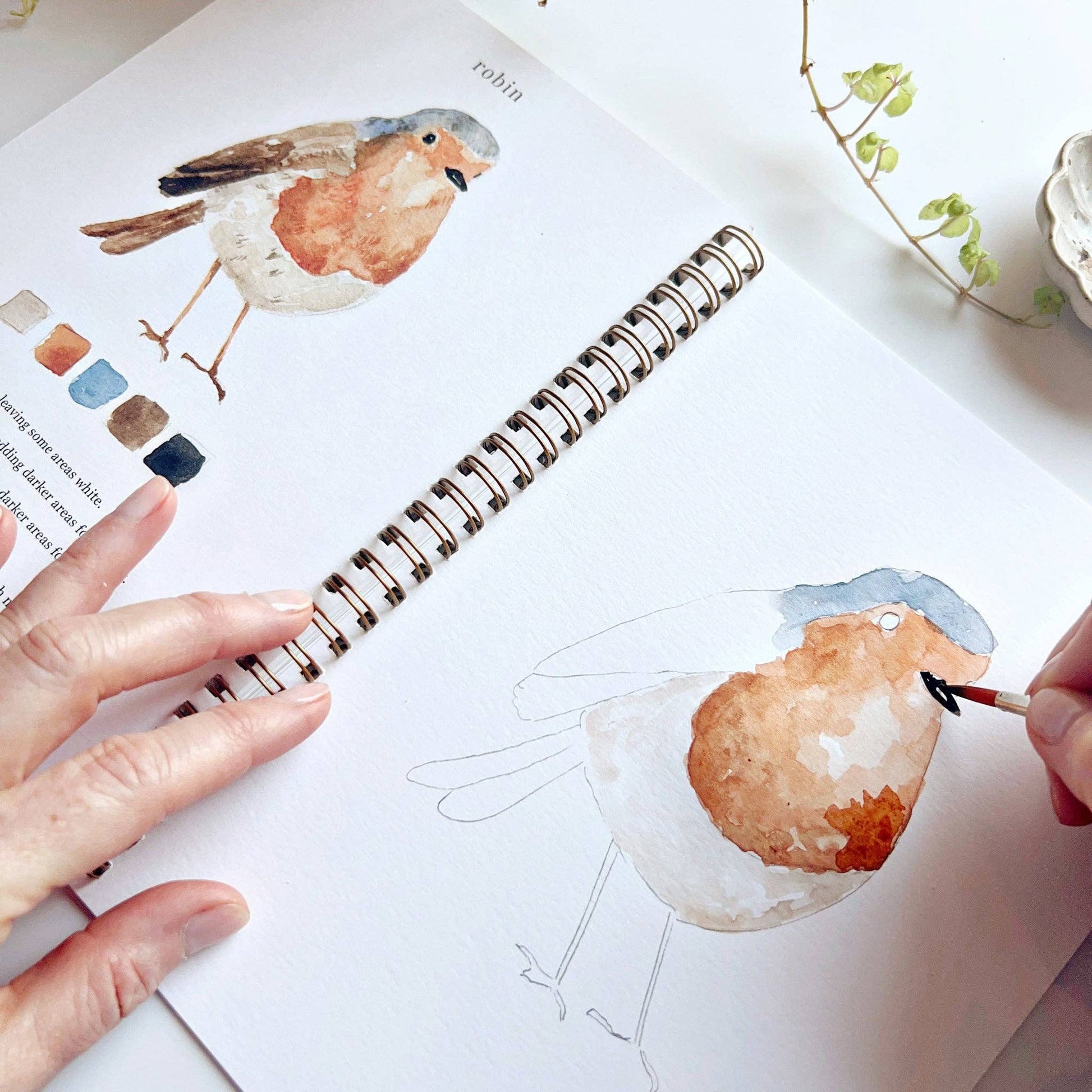 Birds watercolor workbook - Market 12