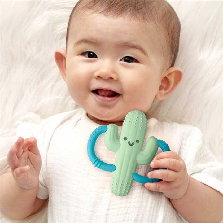Cactus Chew Crew, Baby Teether - Market 12