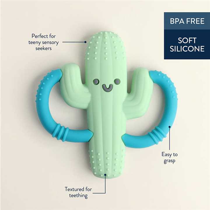 Cactus Chew Crew, Baby Teether - Market 12