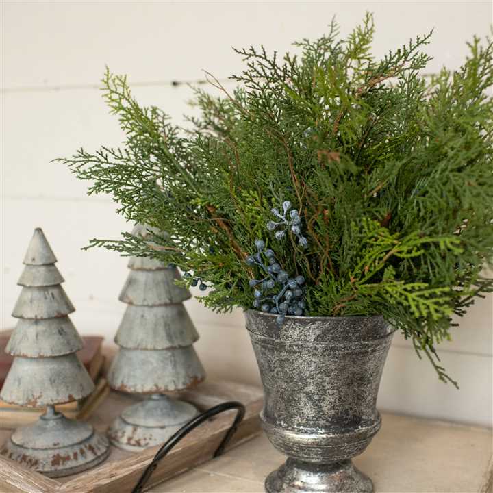 Cedar & Berries Pick - Market 12