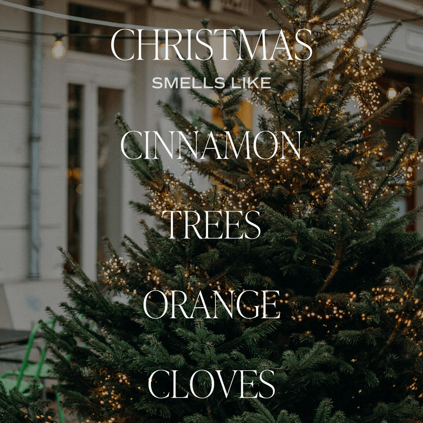 Christmas 9 oz Soy Candle - Christmas Decor & Gifts - Market 12