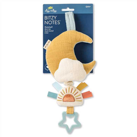 Cloud/Sun Bitzy Notes Musical Pull - Down Toy - Market 12