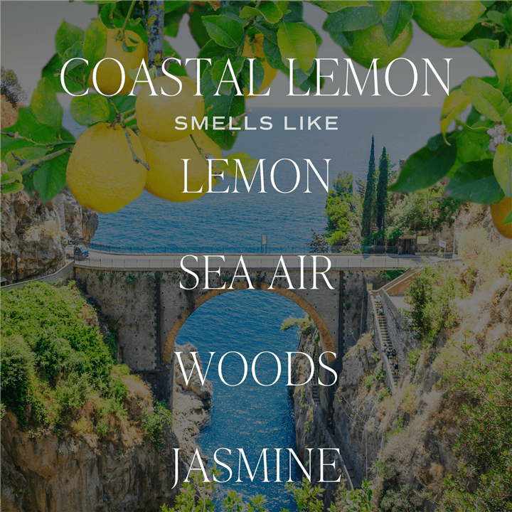 Coastal Lemon 9 oz Soy Candle - Sweet Water Decor - Market 12
