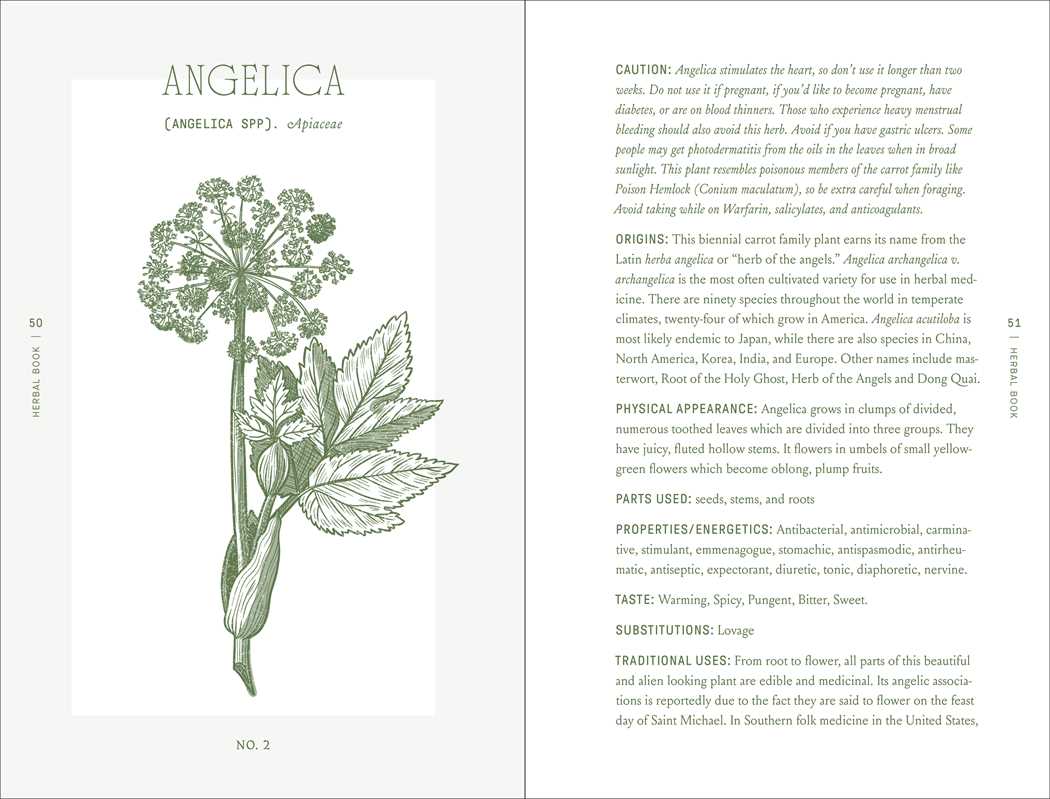 Complete Folk Herbal by Rebecca Beyer: Hardcover - Market 12