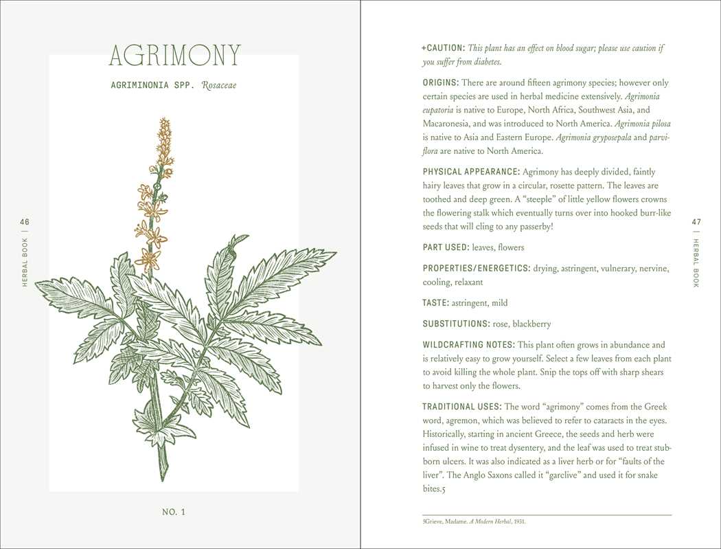 Complete Folk Herbal by Rebecca Beyer: Hardcover - Market 12