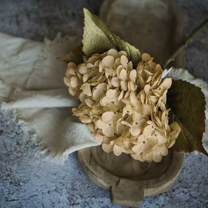 Cream Hydrangea Spray - Market 12