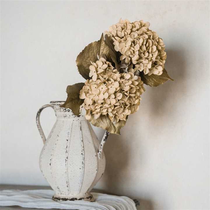 Cream Hydrangea Spray - Market 12