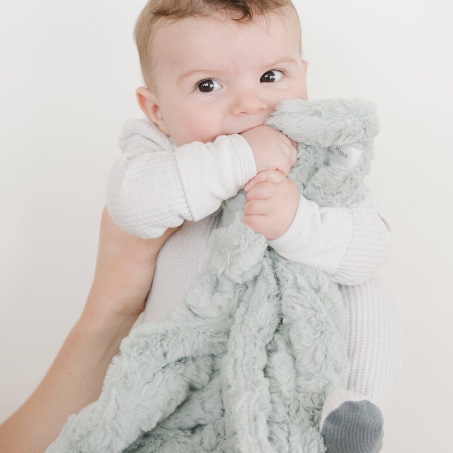 DREAM MINI BLANKETS: Blush - Market 12