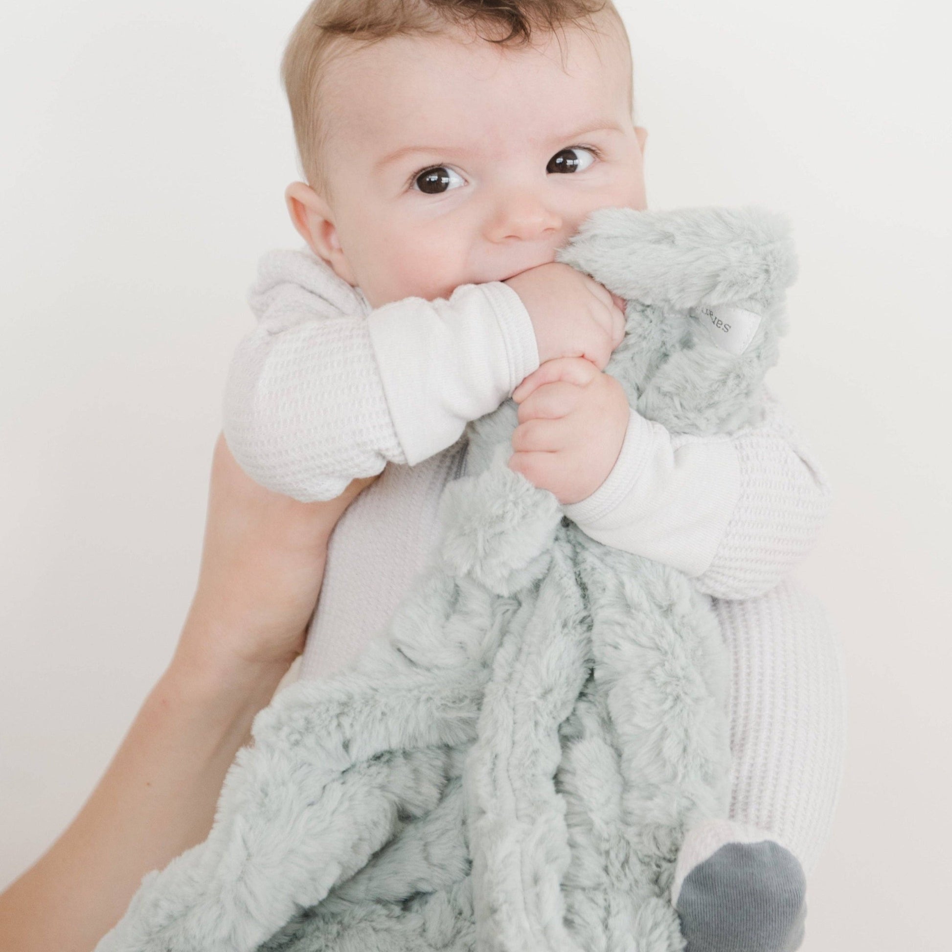 DREAM MINI BLANKETS: Blush - Market 12