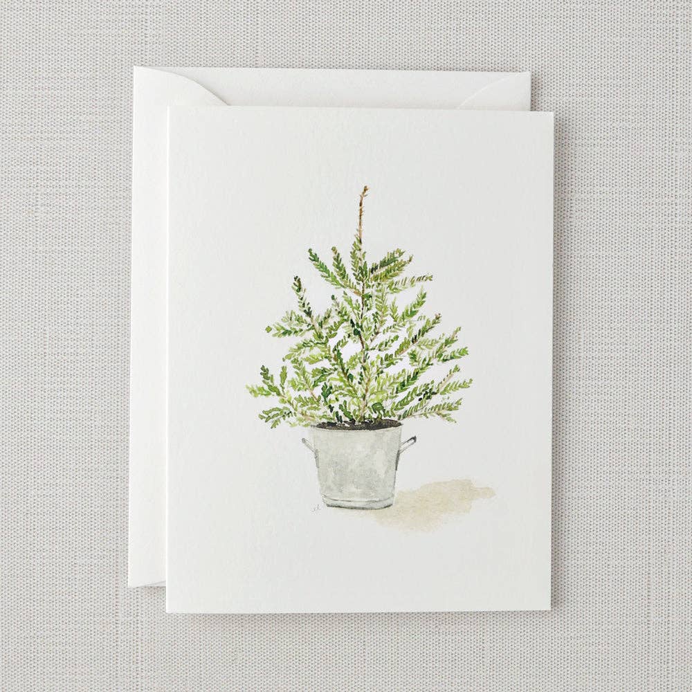 Evergreen notecard set - Market 12