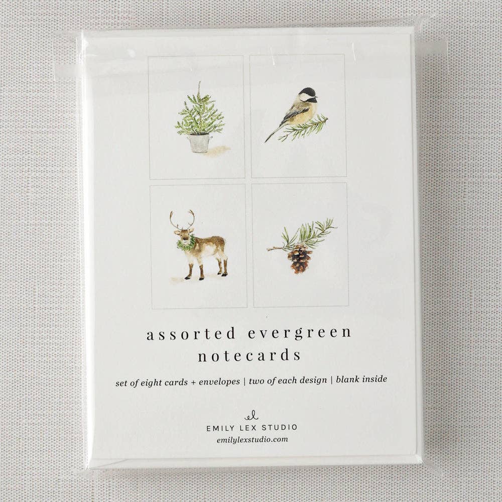 Evergreen notecard set - Market 12