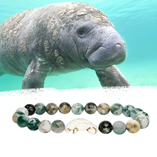 Fahlo Bracelet Manatee (seagrass) - Market 12