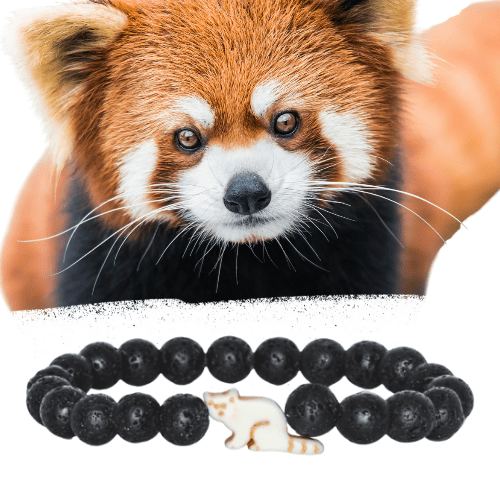 Fahlo Bracelet Red Panda (lava stone) - Market 12