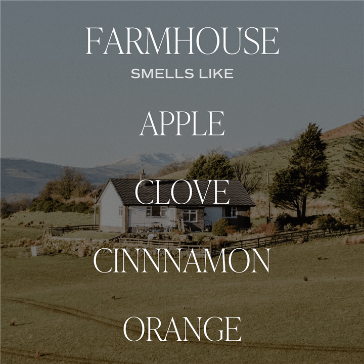 Farmhouse Amber Reed Diffuser - Market 12