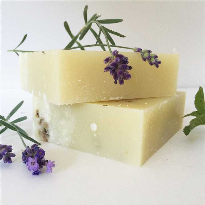 Fern & Nettle Bar Soap - Market 12