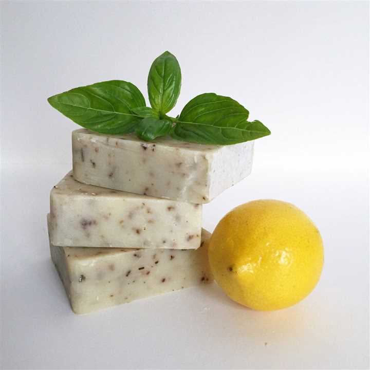 Fern & Nettle Bar Soap - Market 12
