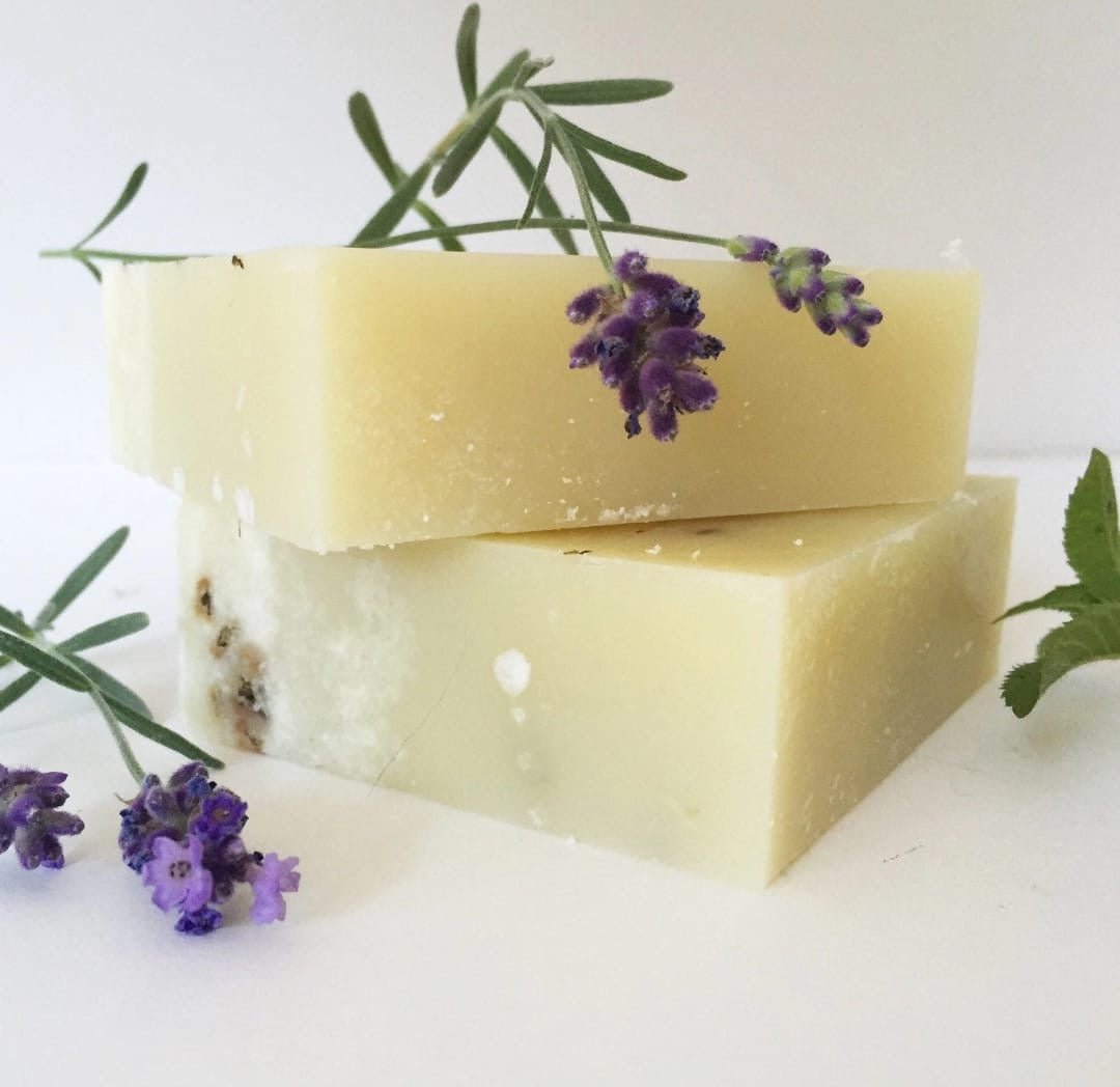 Fern & Nettle Bar Soap - Market 12