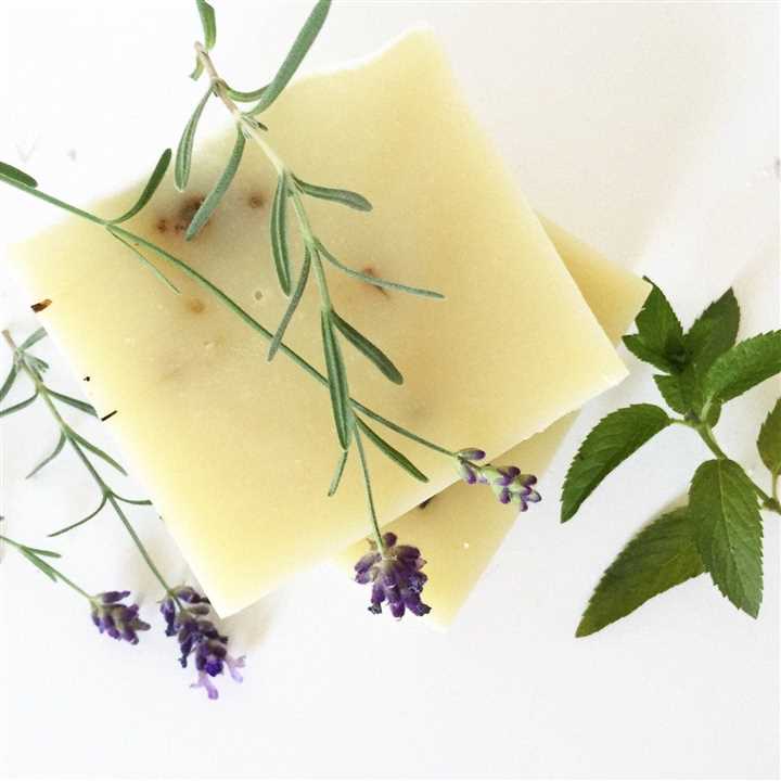 Fern & Nettle Bar Soap - Market 12