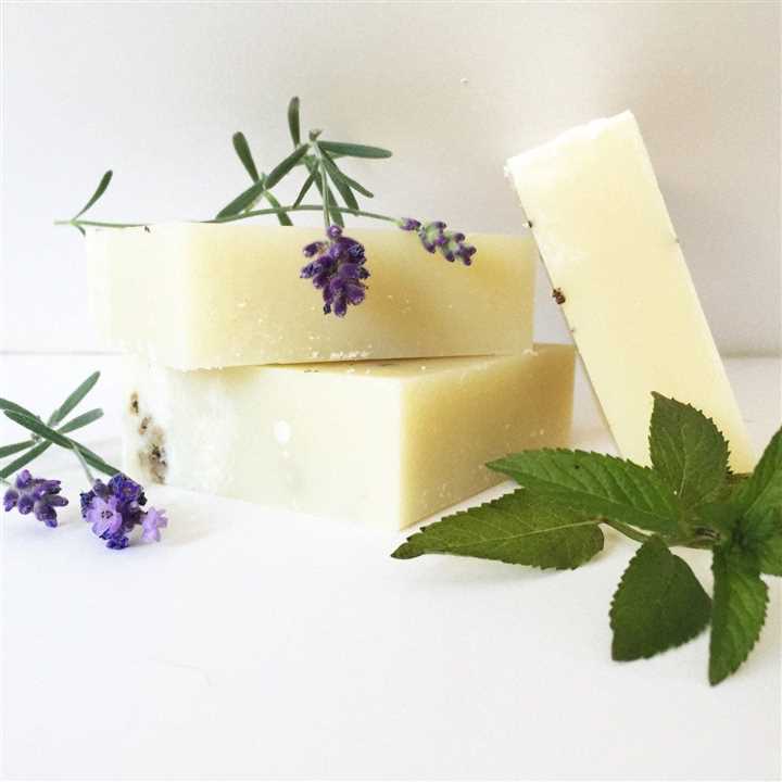 Fern & Nettle Bar Soap - Market 12