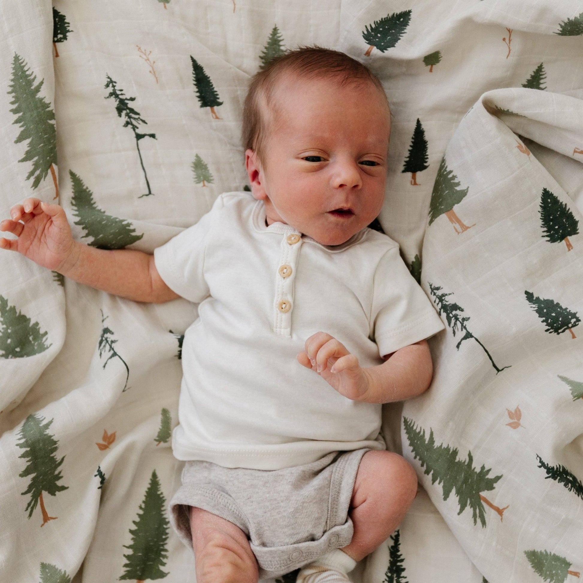 Floral Fields COTTON MUSLIN 2 PACK SWADDLES: - Market 12